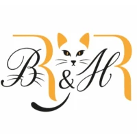 Biuro Rachunkowe BR&HR Sp. z o.o. - logo